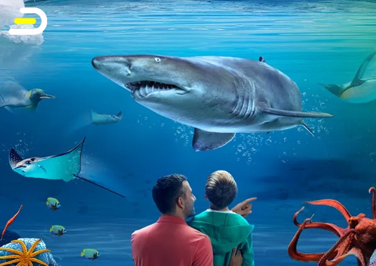 Kelly Tarlton’s SEA LIFE Aquarium-entry only 奥克兰凯利塔顿水族馆门票